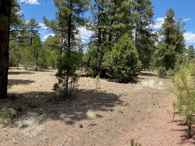 Lot 63 County Road Nutrioso, AZ 85932 - Photo 4 of 12