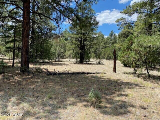Lot 63 County Road Nutrioso, AZ 85932 - Photo 5 of 12