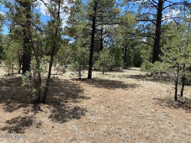 Lot 63 County Road Nutrioso, AZ 85932 - Photo 9 of 12