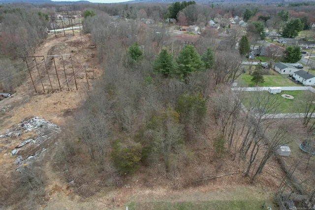 a view of a dry yard