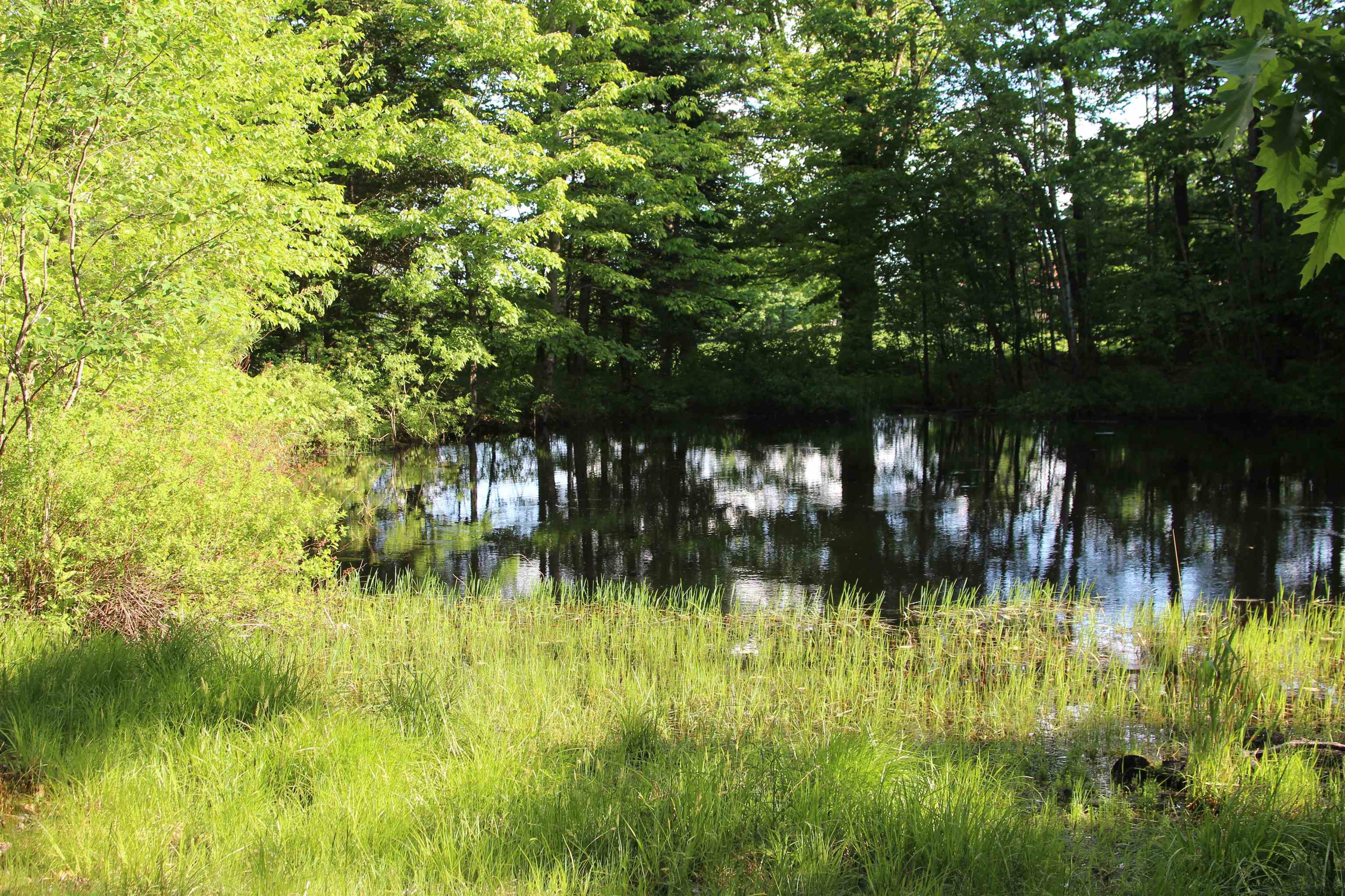 1348 South Hemlock Road Charlestown, NH 03603 - Photo 22 of 32