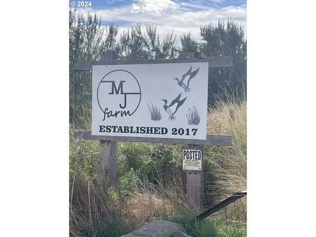 a view of a yard with an trees