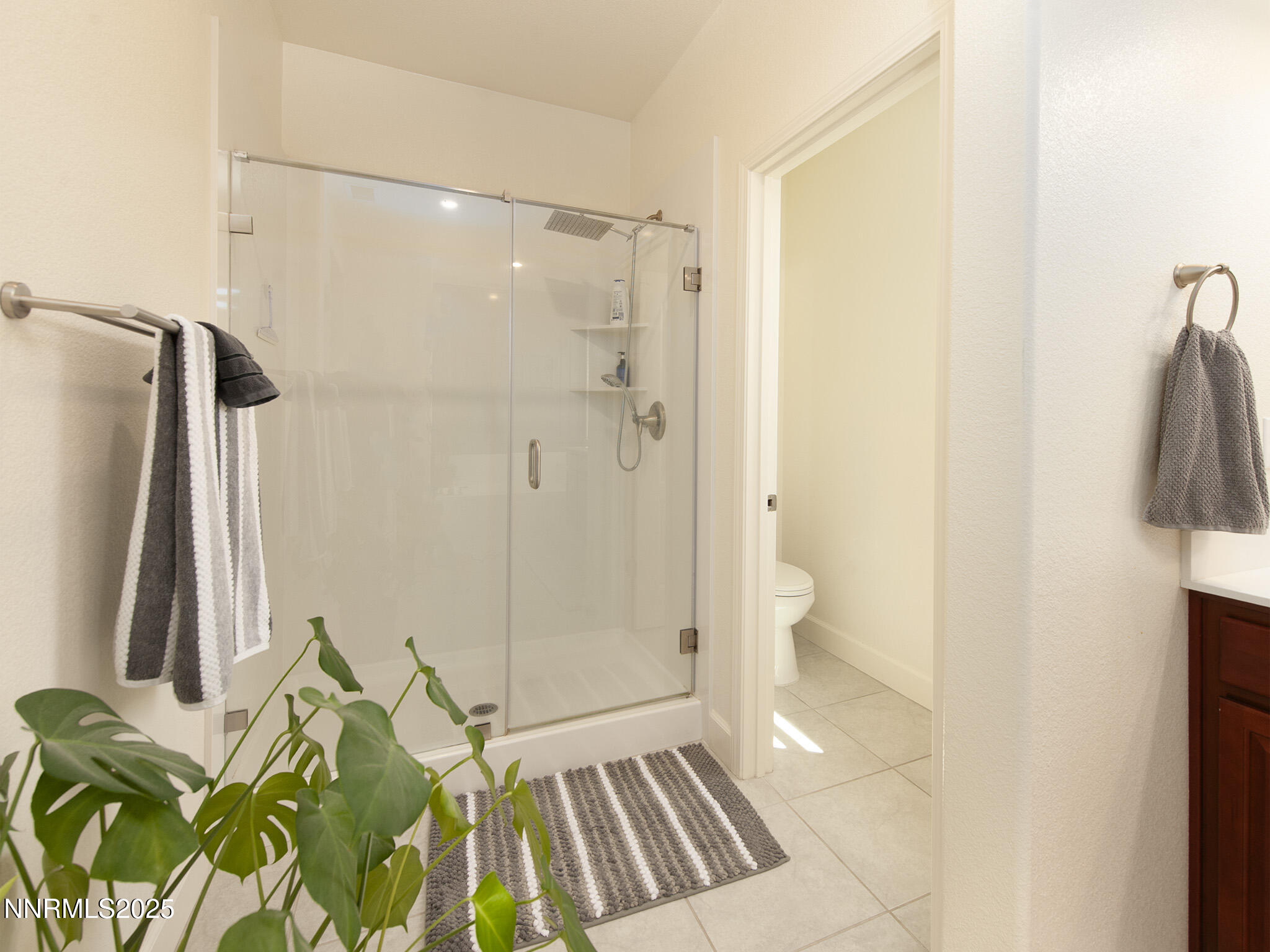 10326 Palladium Mine Drive Reno, NV 89521 - Photo 23 of 50 master bath 2