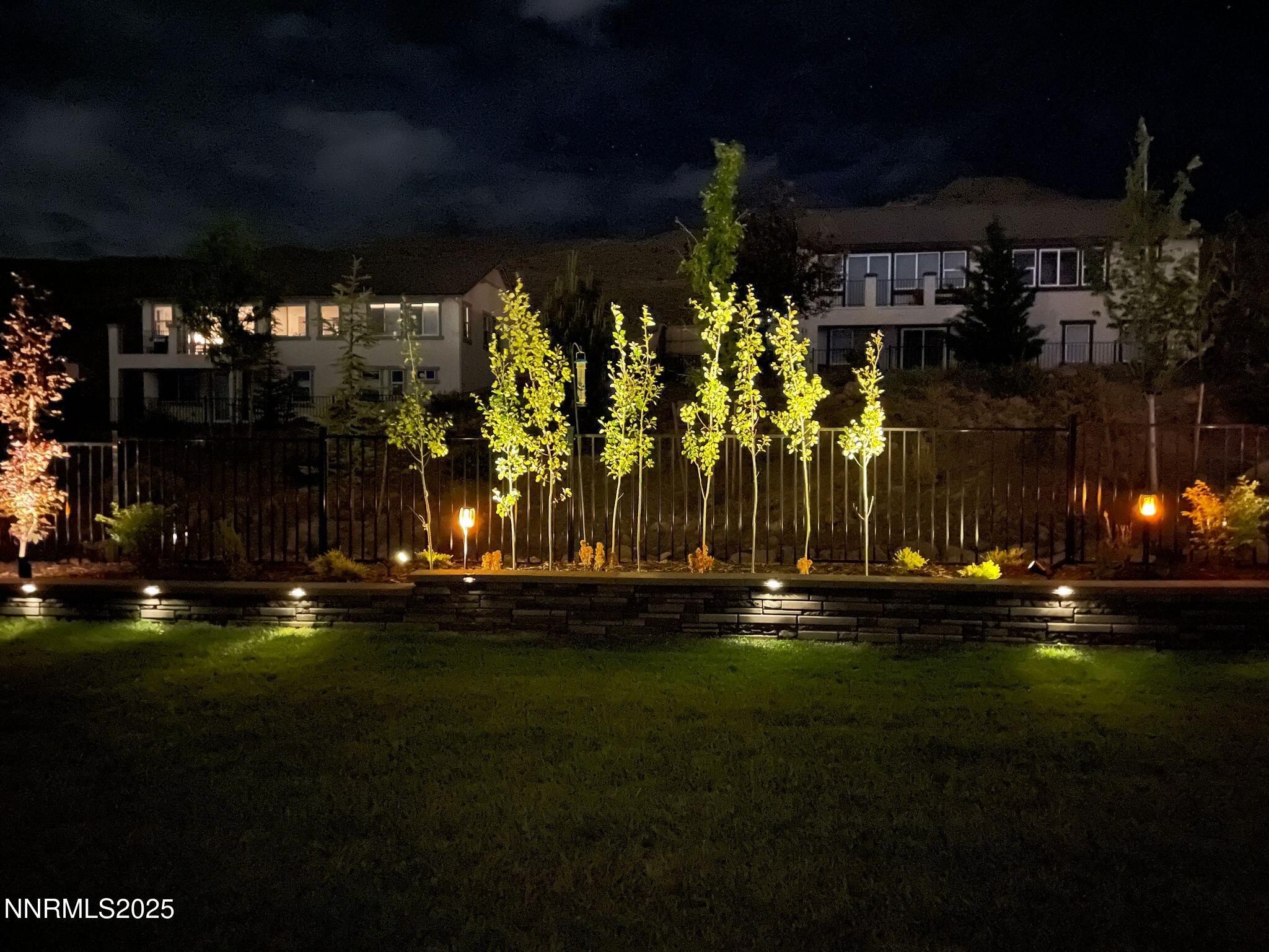 10326 Palladium Mine Drive Reno, NV 89521 - Photo 63 of 66 Trees night Lights 1