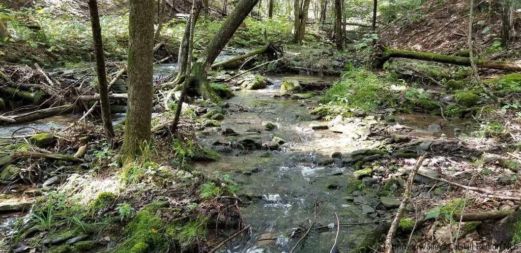 Tbd Dymond Road Kerhonkson, NY 12446 - Photo 4 of 4 Photo 4