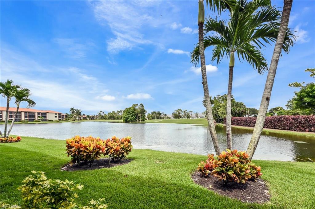 a view of a lake with a garden
