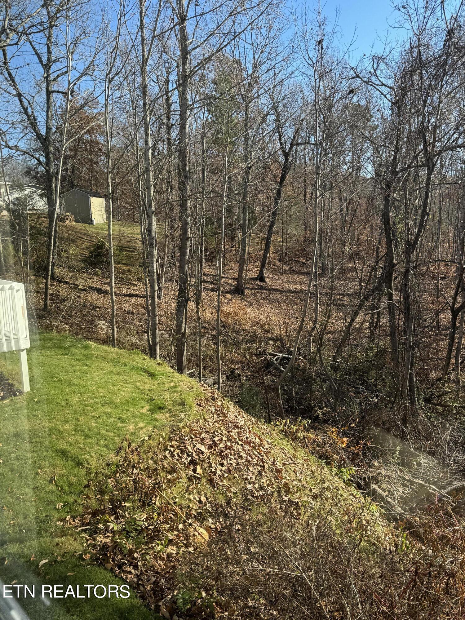 7500 Hunters Ridge Way Knoxville, TN 37914 - Photo 15 of 18 Flat part of the lot