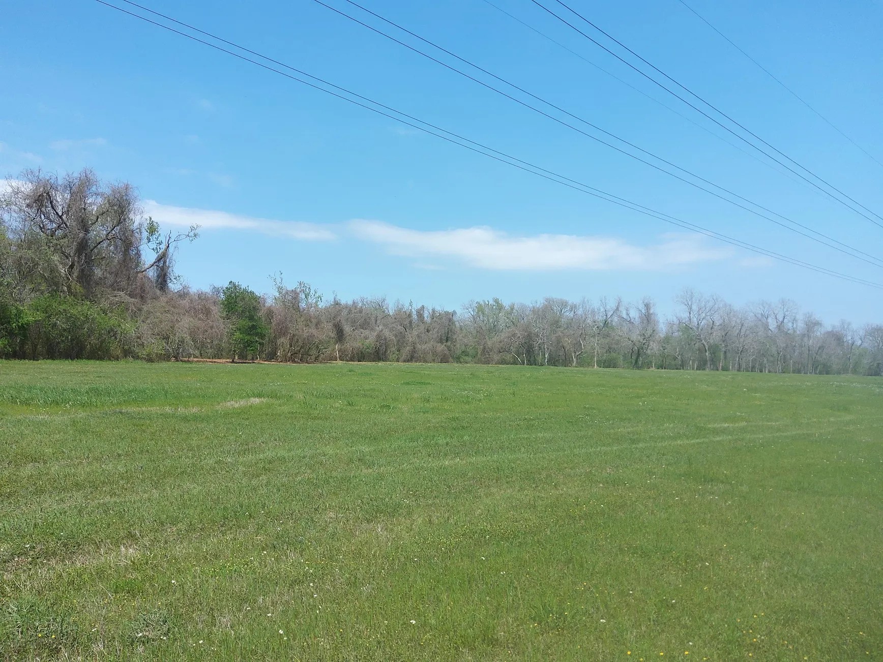 Lot 2 Fm 521 Angleton, TX 77515 - Photo 10 of 26