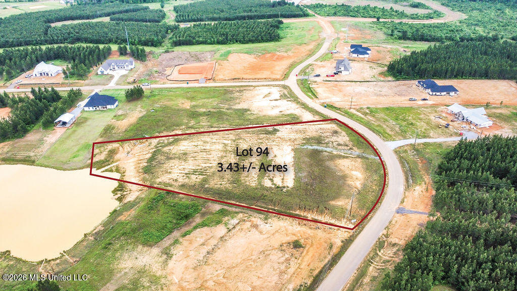 Freedom Farms Crossing Brandon, MS 39047 - Photo 4 of 4 lot9412 (1)