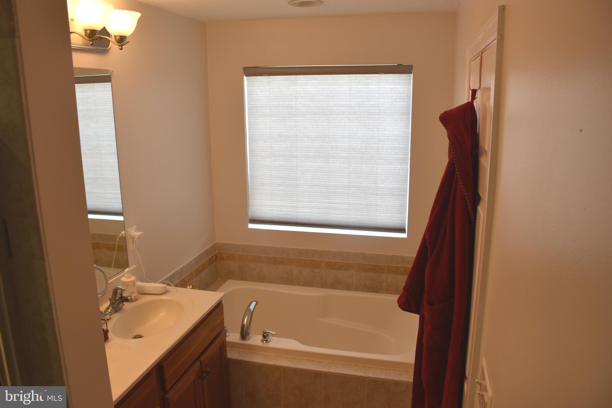 803 Ryan Street Baltimore, MD 21230 - Photo 26 of 41 a bathroom with a tub sink and a window