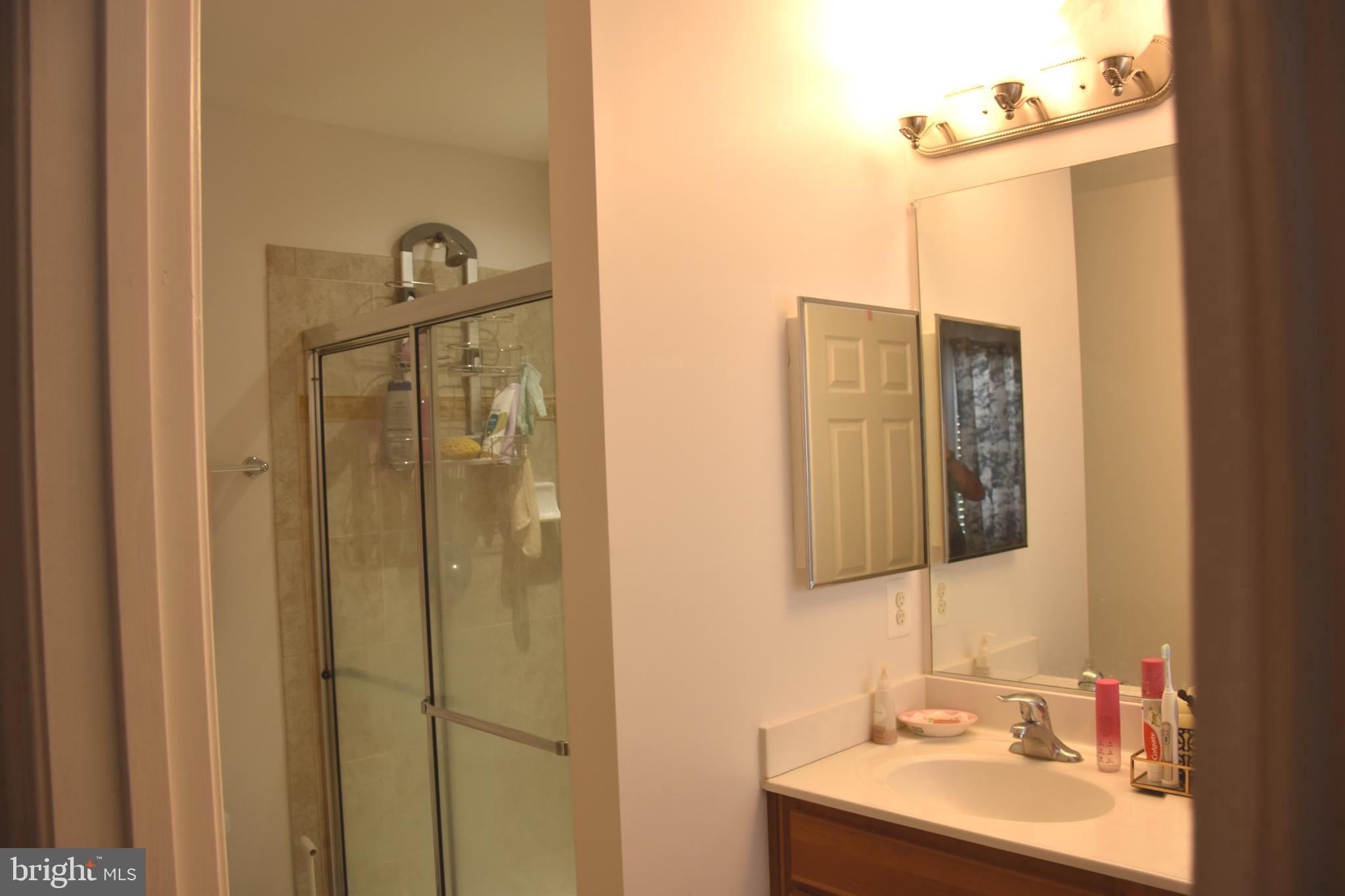 803 Ryan Street Baltimore, MD 21230 - Photo 27 of 41 a bathroom with a sink mirror and shower