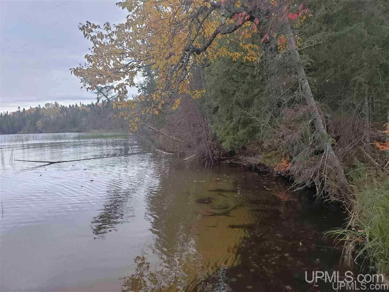 Tbd Gay Lac La Belle Road Lake Linden, MI 49950 - Photo 2 of 9
