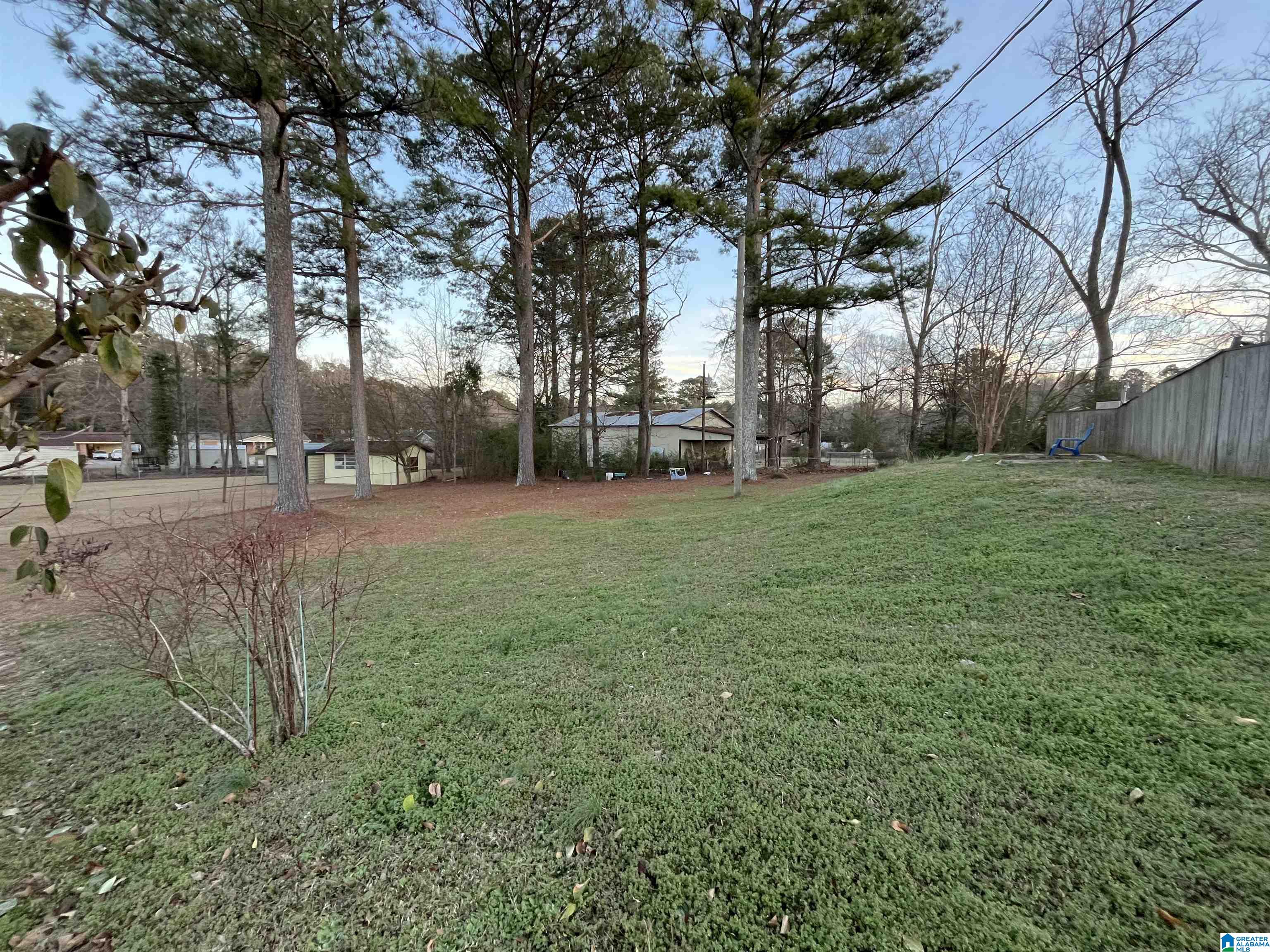 1001 Generose Street Sylacauga, AL 35151 - Photo 45 of 46