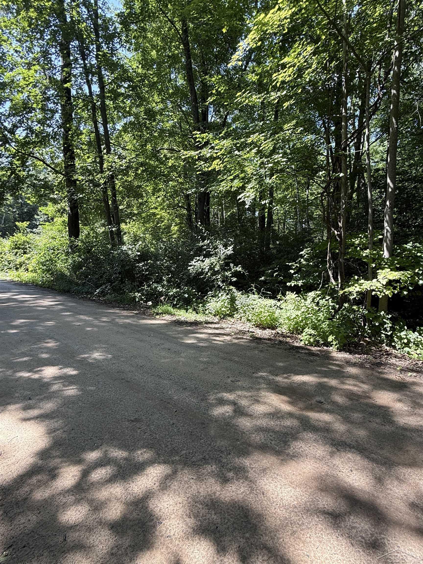 4477 Forest Road Harrison, MI 48625 - Photo 9 of 10