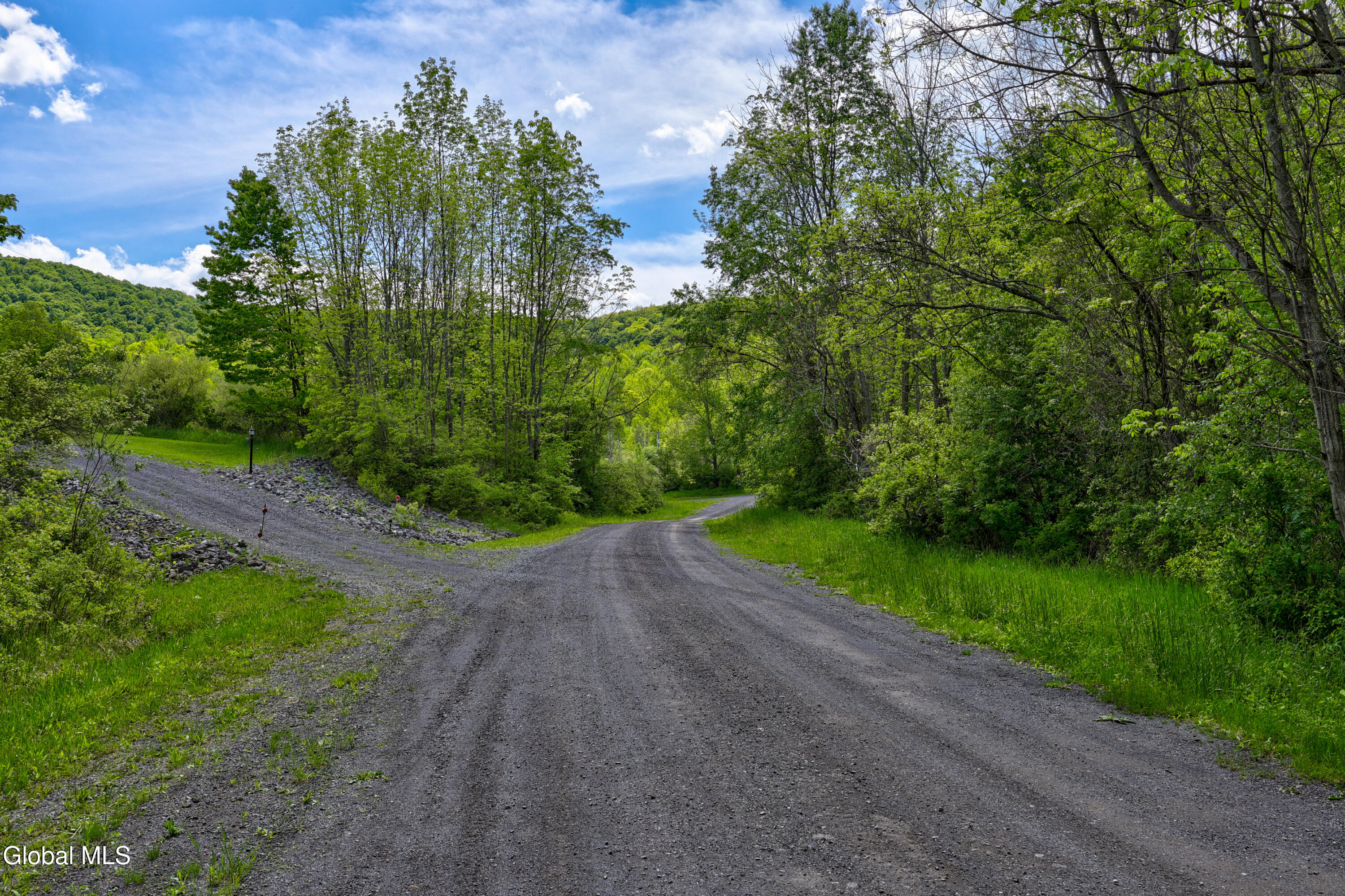 441 Hite Road Warnerville, NY 12187 - Photo 27 of 39 1 (26)
