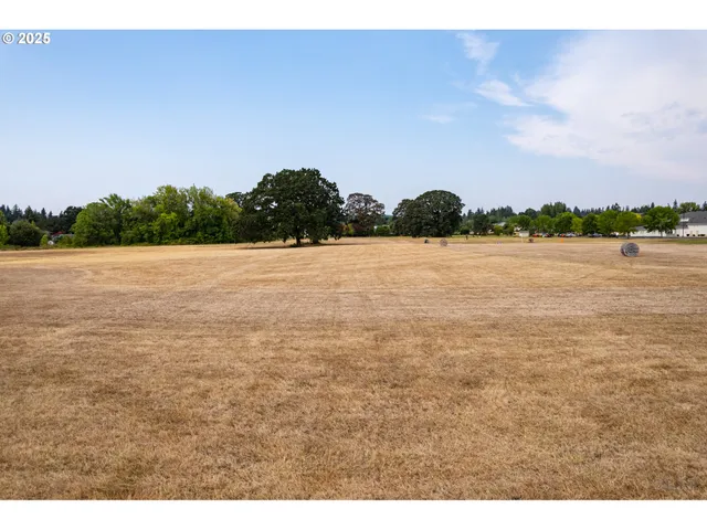 a view of an ocean and beach