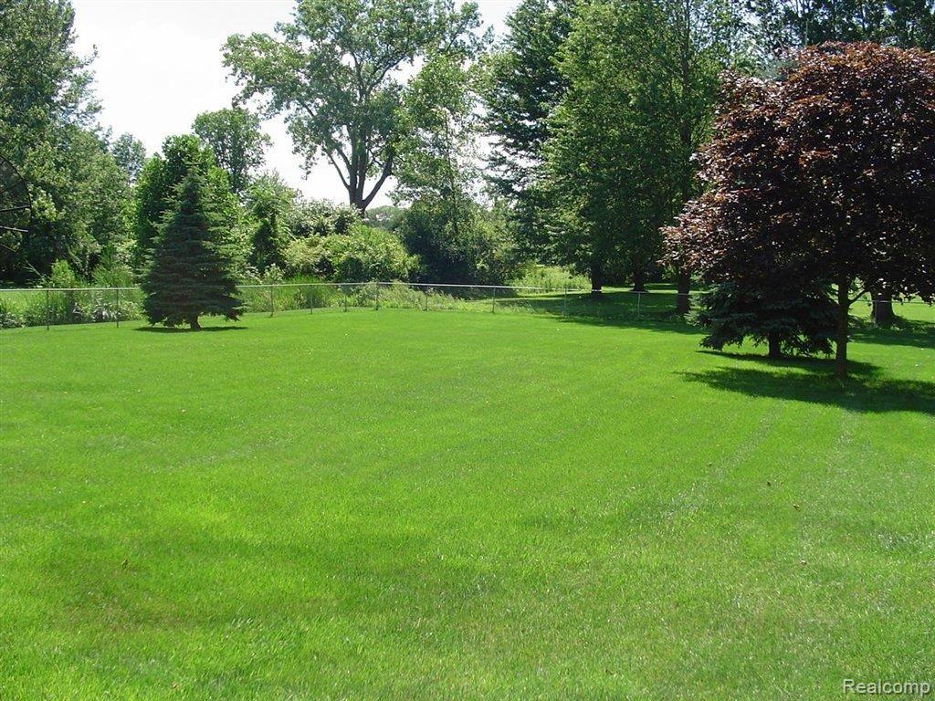20250 Inkster Road Romulus, MI 48174 - Photo 5 of 5 20250 inkster 5.jpg