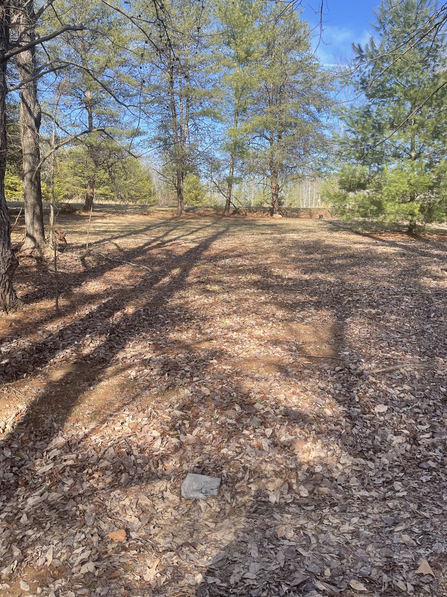 1855 Jordan Road Chapmansboro, TN 37035 - Photo 12 of 26 Gallery Image 12