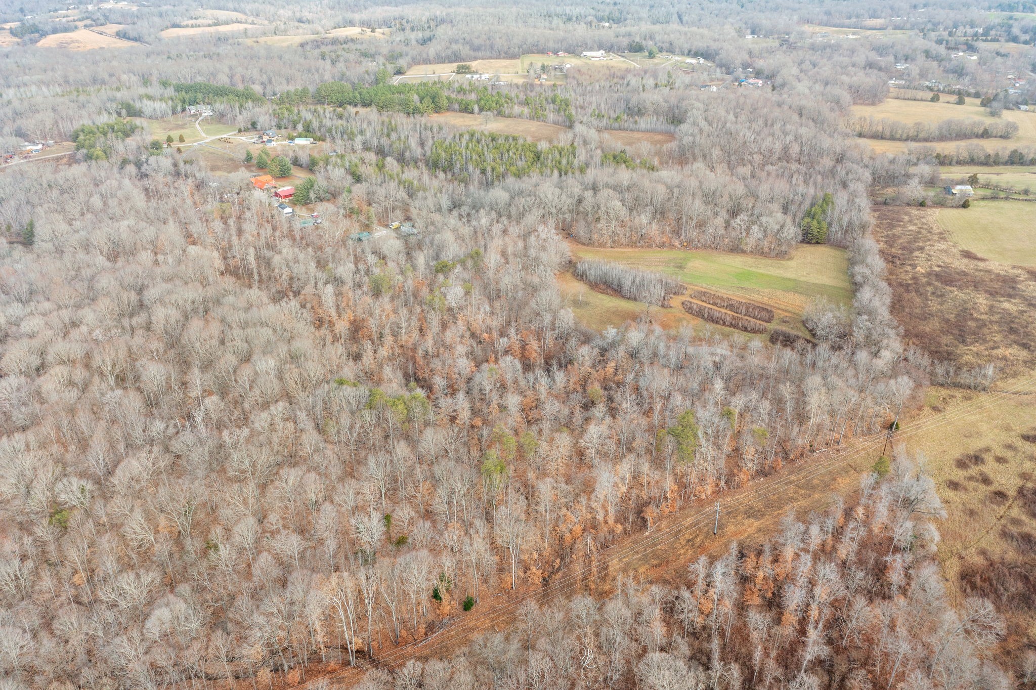 1855 Jordan Road Chapmansboro, TN 37035 - Photo 14 of 26 Gallery Image 14