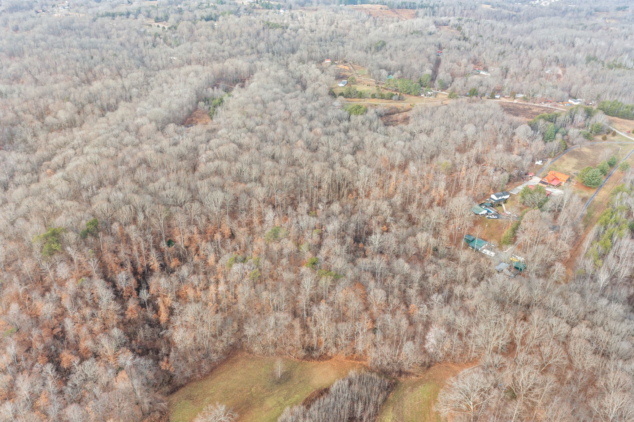 1855 Jordan Road Chapmansboro, TN 37035 - Photo 16 of 26 Gallery Image 16