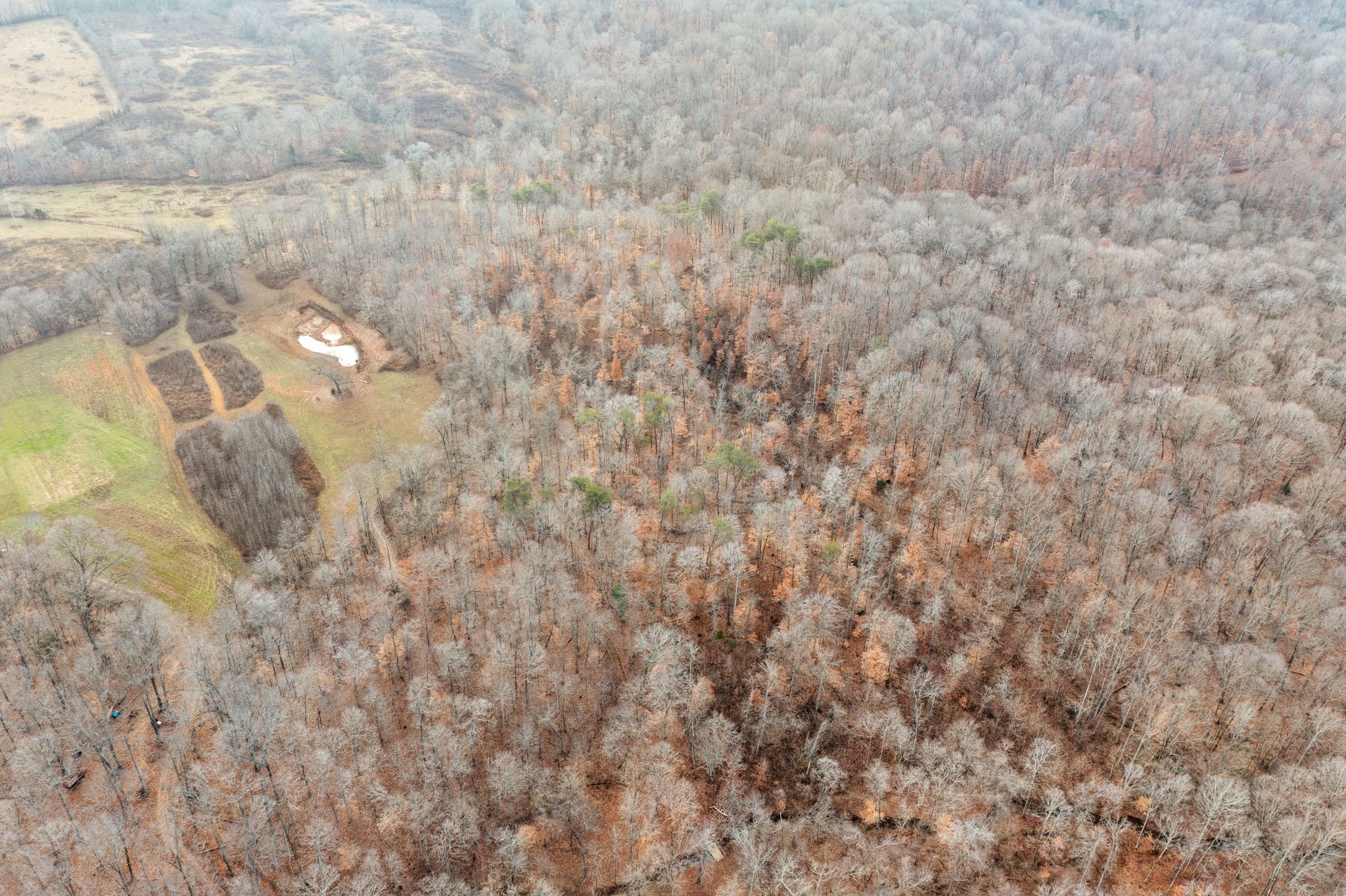 1855 Jordan Road Chapmansboro, TN 37035 - Photo 17 of 26 Gallery Image 17