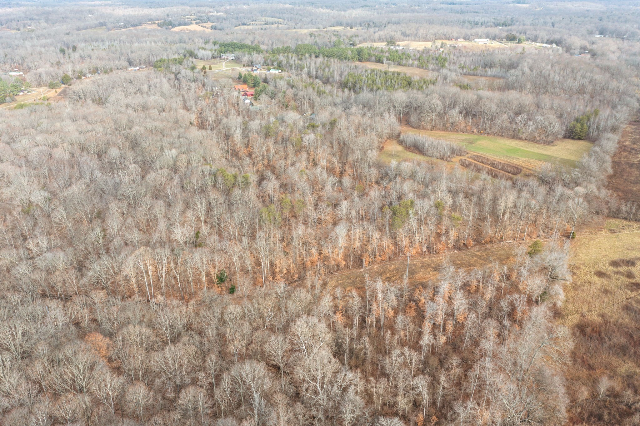1855 Jordan Road Chapmansboro, TN 37035 - Photo 20 of 26 Gallery Image 20