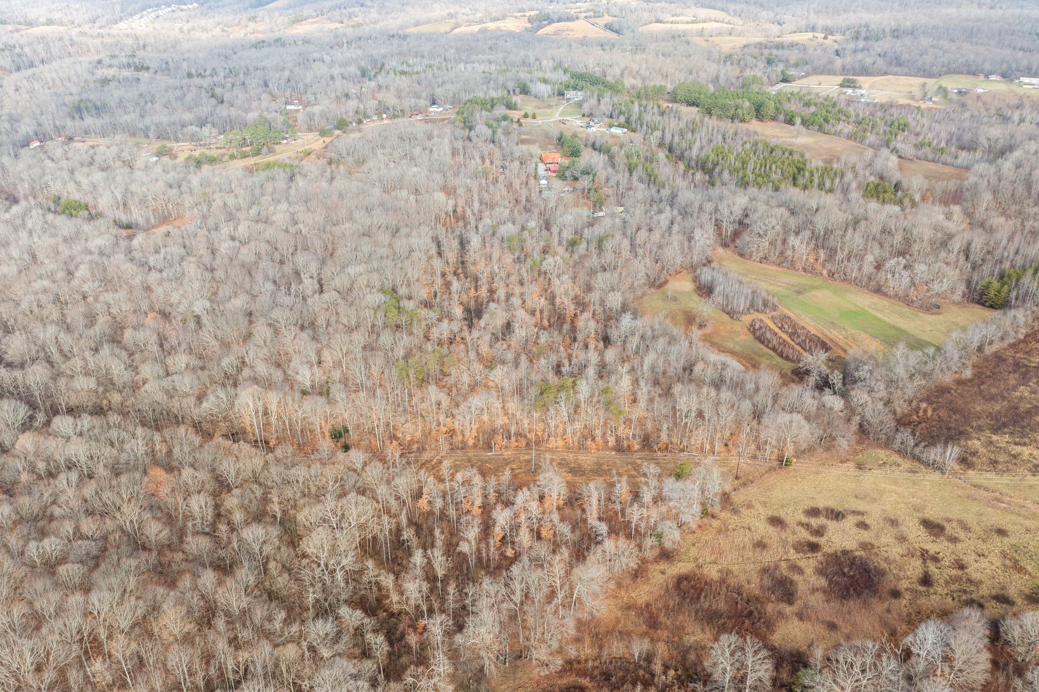 1855 Jordan Road Chapmansboro, TN 37035 - Photo 21 of 26 Gallery Image 21