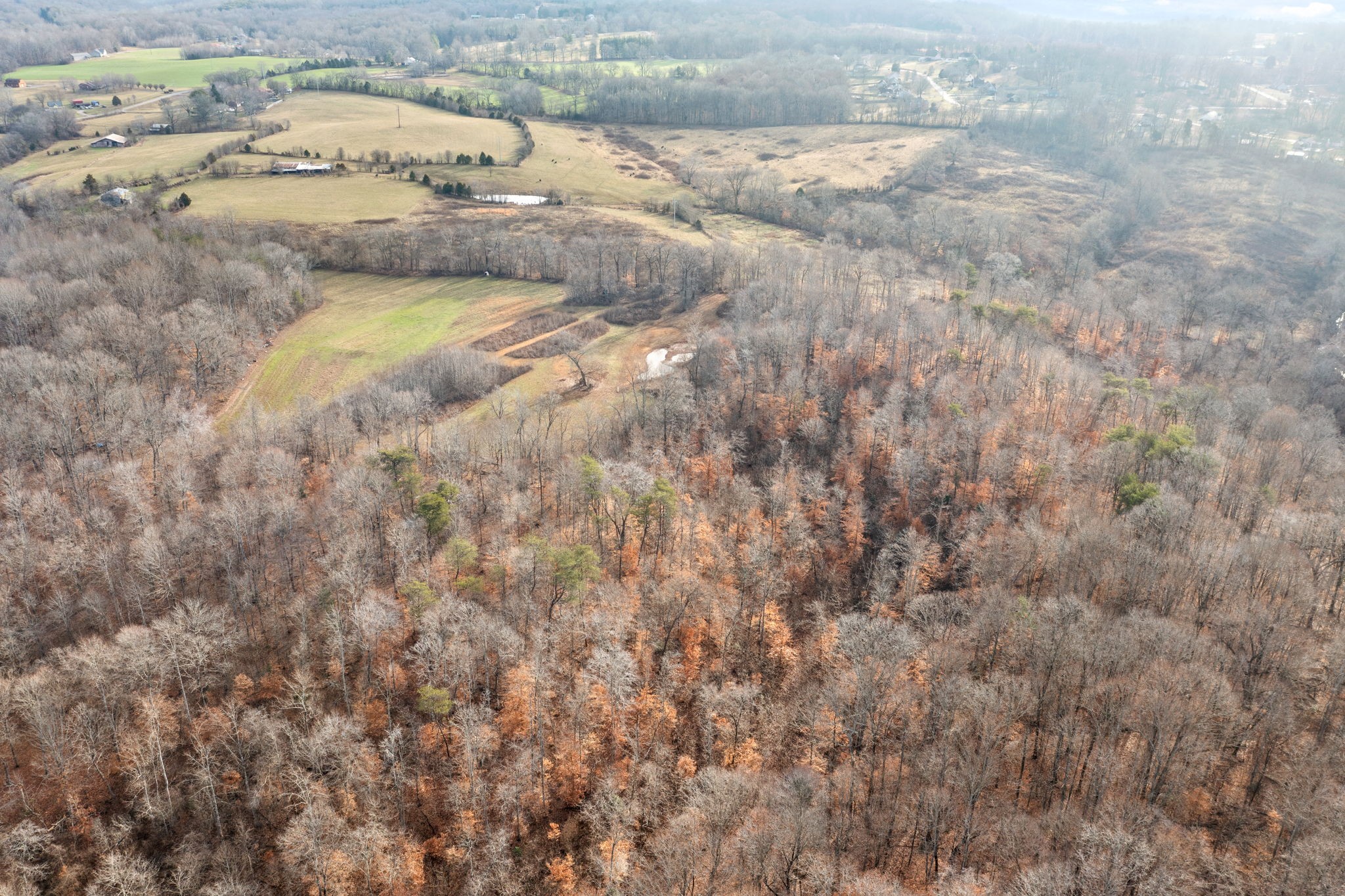 1855 Jordan Road Chapmansboro, TN 37035 - Photo 23 of 26 Gallery Image 23