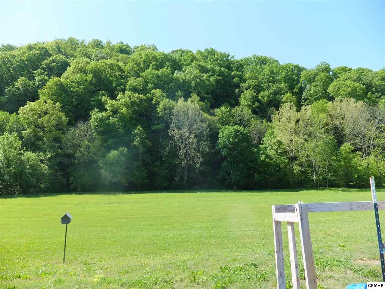 889 Marshall Hollow Road Bybee, TN 37713 - Photo 13 of 24 Gallery Image 13