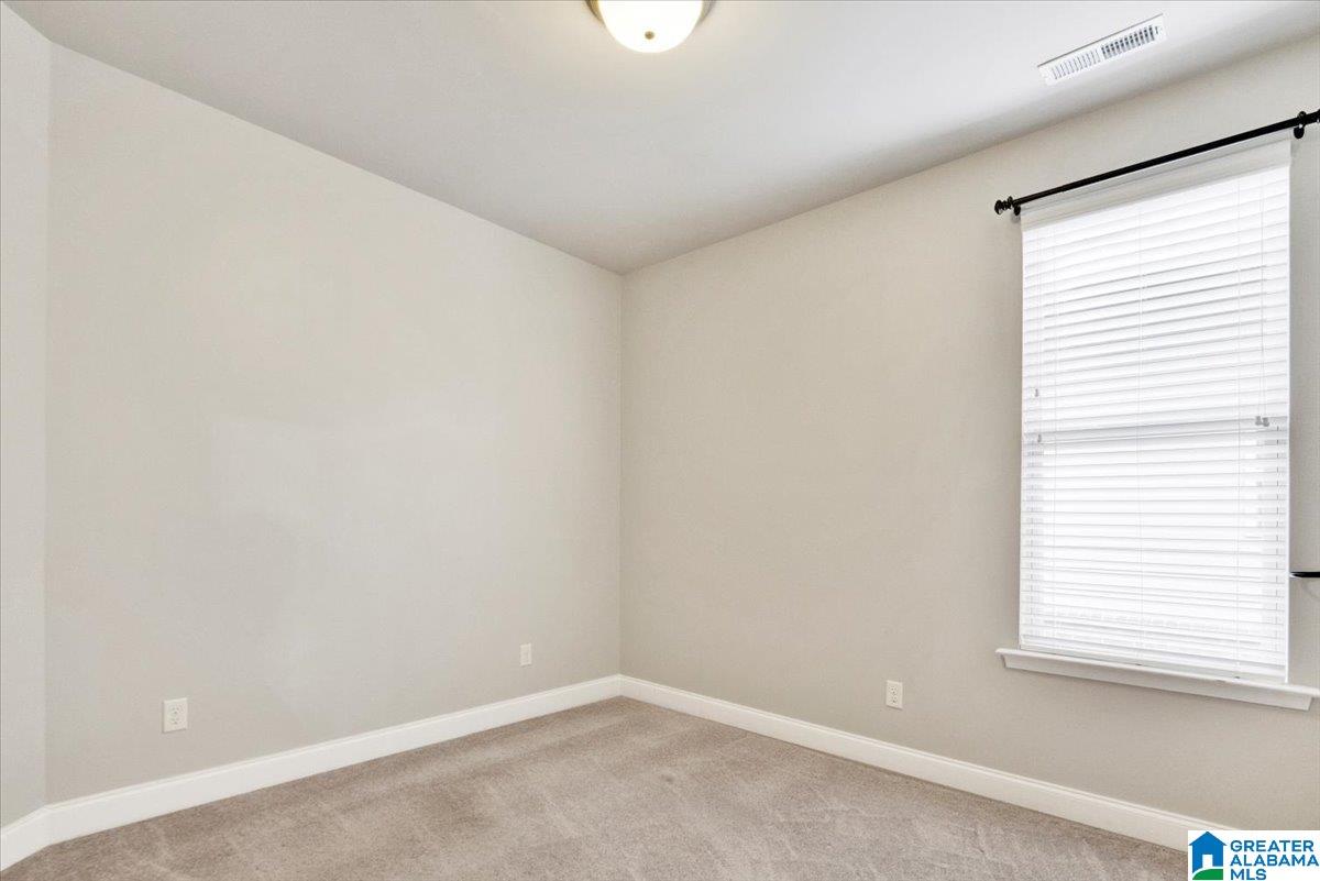 1052 Springfield Drive Chelsea, AL 35043 - Photo 14 of 18