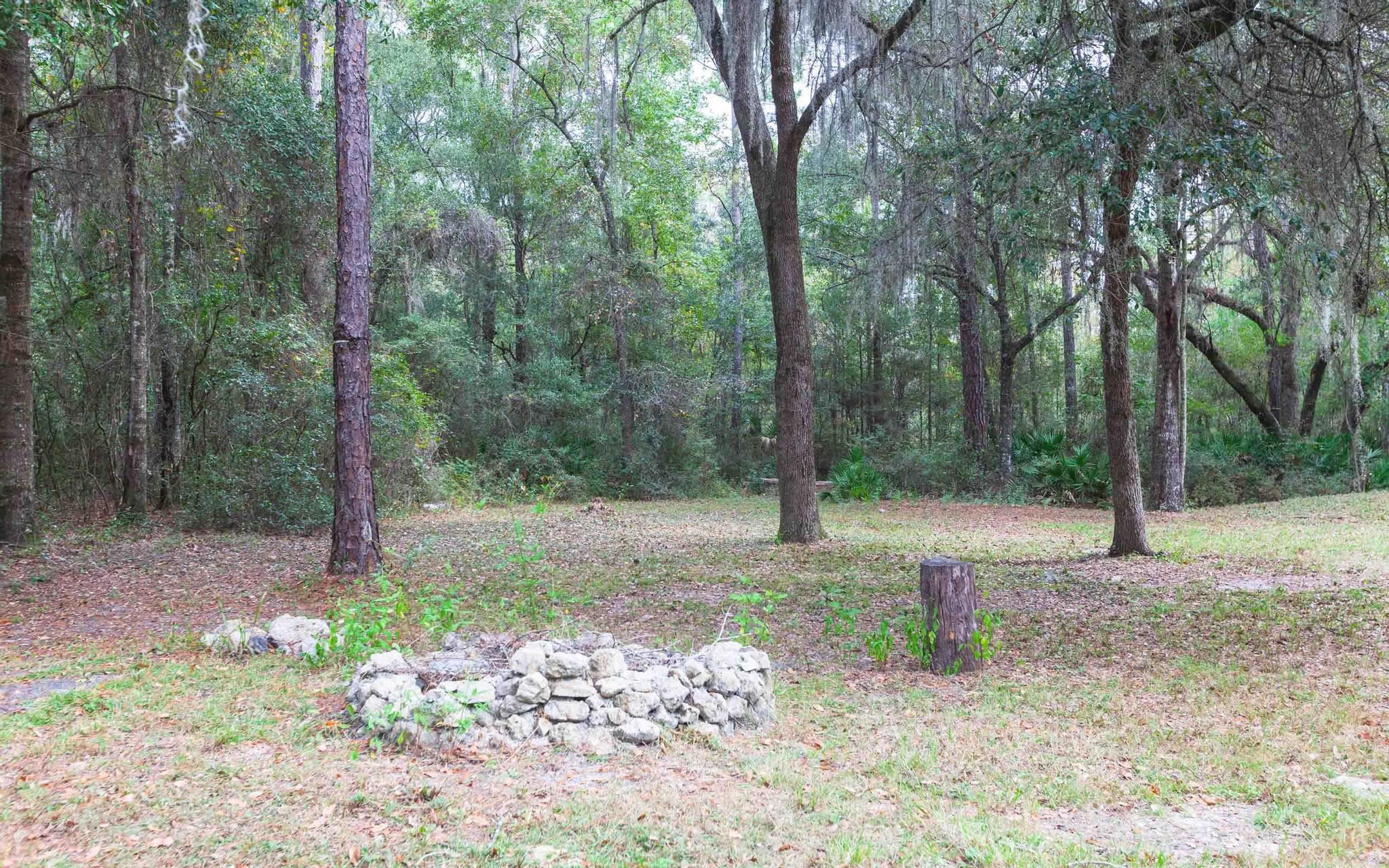 4850 Puckett Road Perry, FL 32348 - Photo 4 of 24