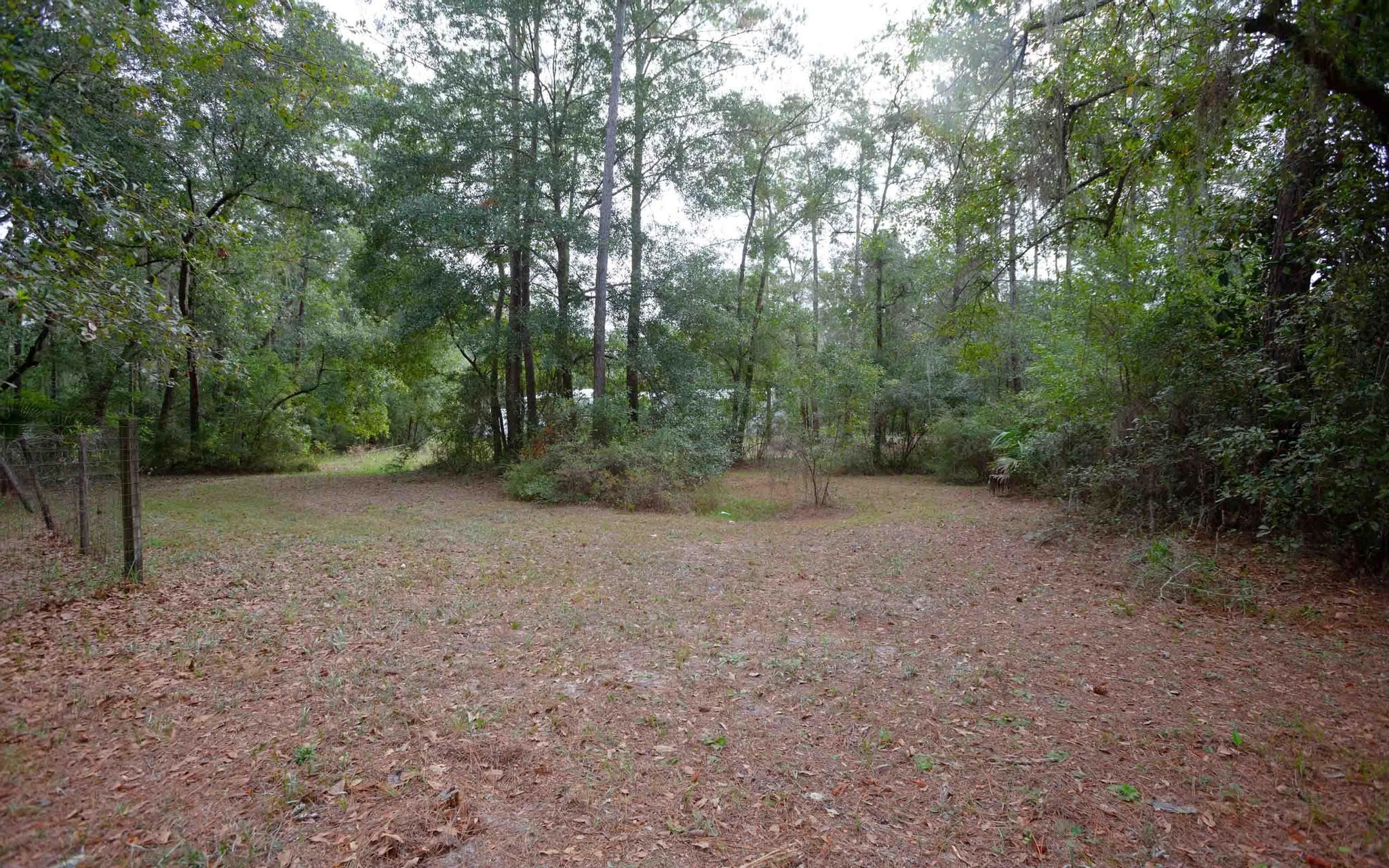 4850 Puckett Road Perry, FL 32348 - Photo 5 of 24