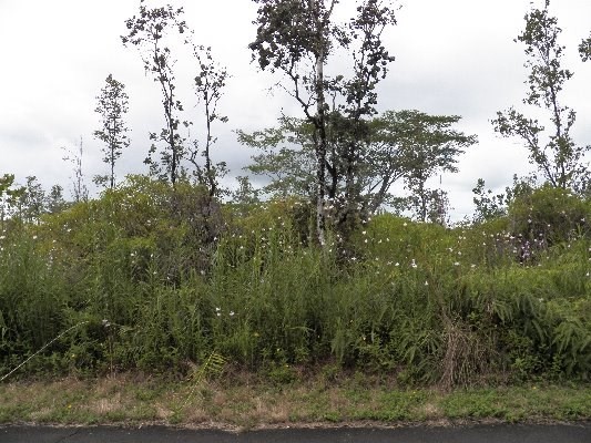 3070 Beach Road Keaau, HI 96749 - Photo 1 of 6 Gallery Image 1