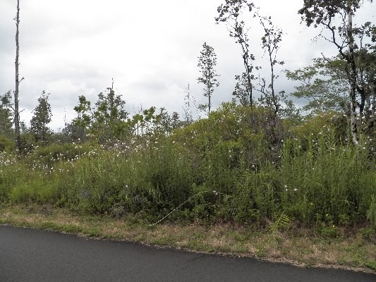 3070 Beach Road Keaau, HI 96749 - Photo 2 of 6 Gallery Image 2
