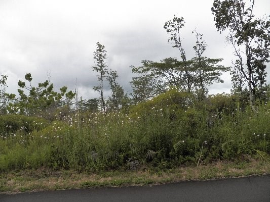 3070 Beach Road Keaau, HI 96749 - Photo 3 of 6 Gallery Image 3