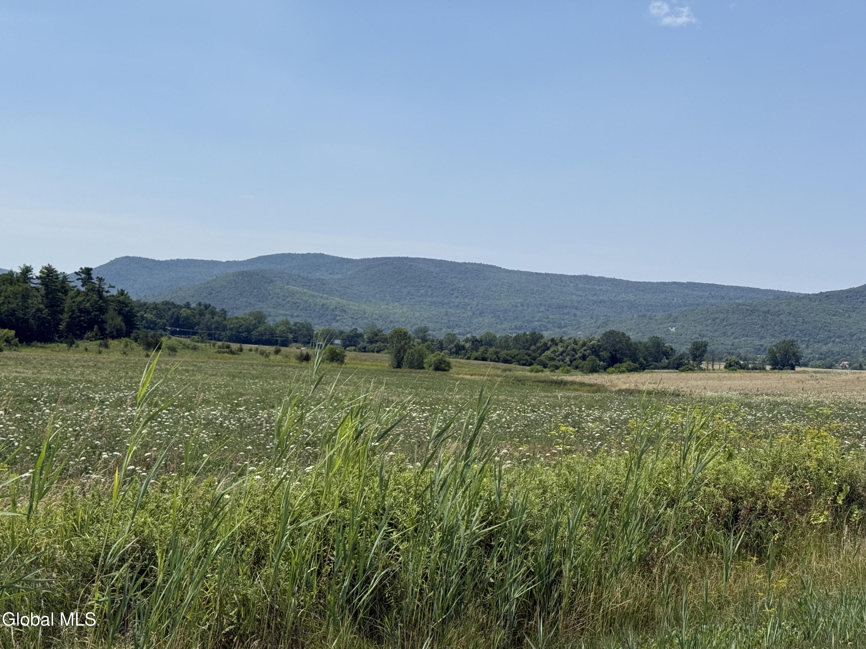 L19.111 Delano Road Ticonderoga, NY 12883 - Photo 4 of 12 LF3