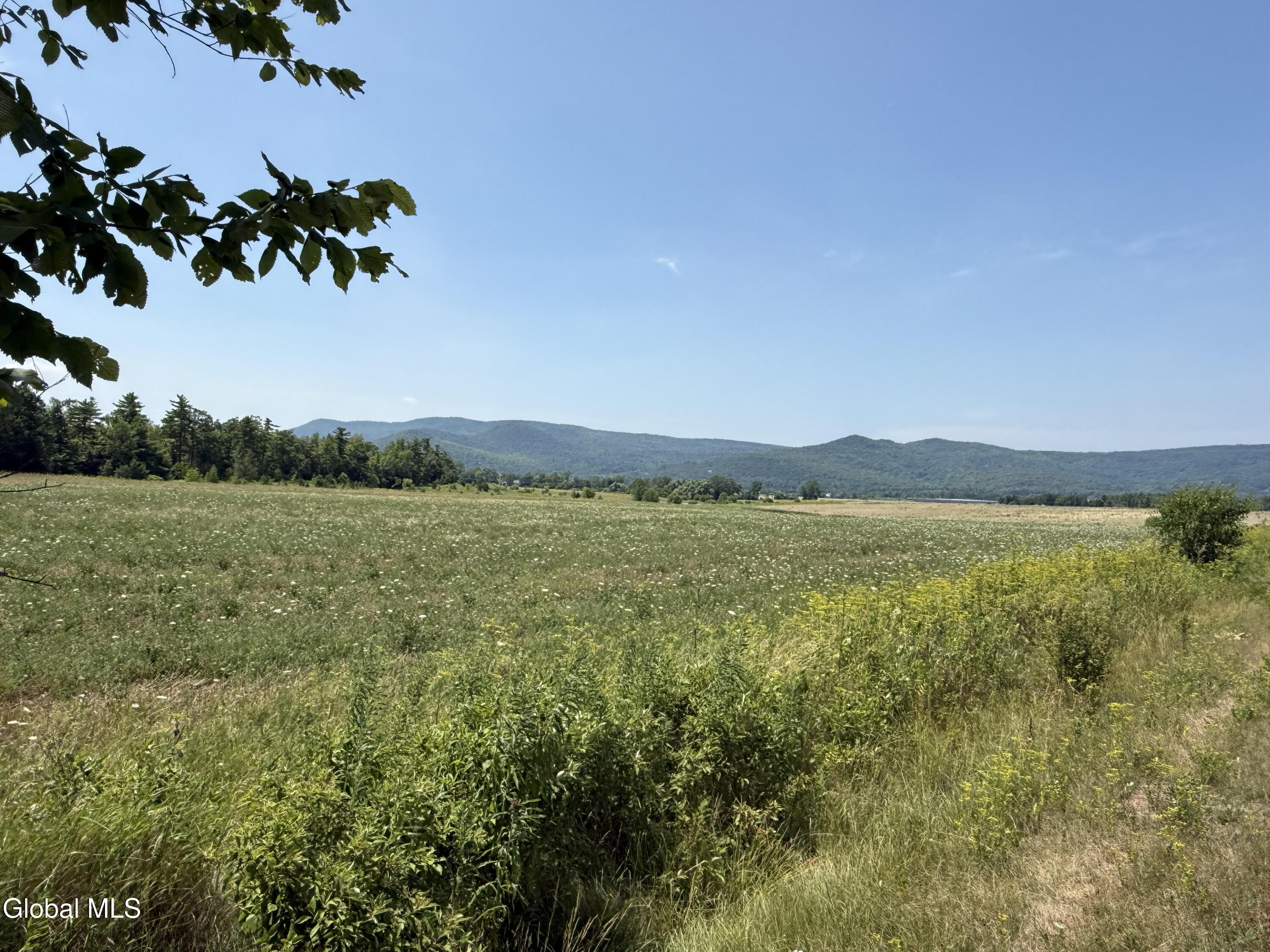 L19.111 Delano Road Ticonderoga, NY 12883 - Photo 6 of 12 LF5