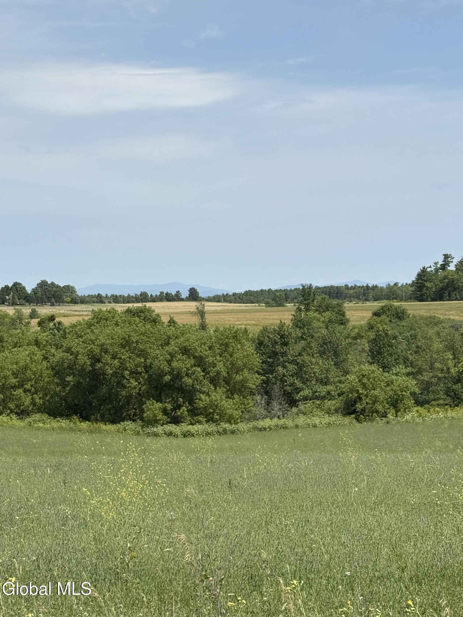 L19.111 Delano Road Ticonderoga, NY 12883 - Photo 8 of 12 LF16