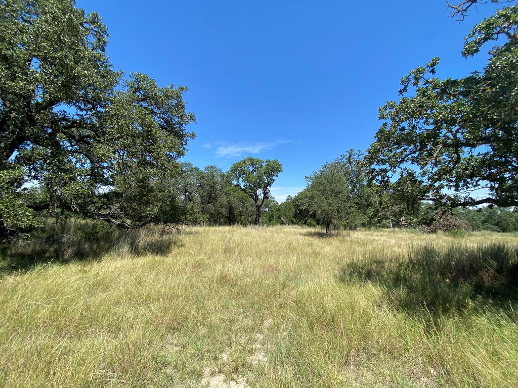 210 Dally Road Comfort, TX 78013 - Photo 72 of 79 Land
