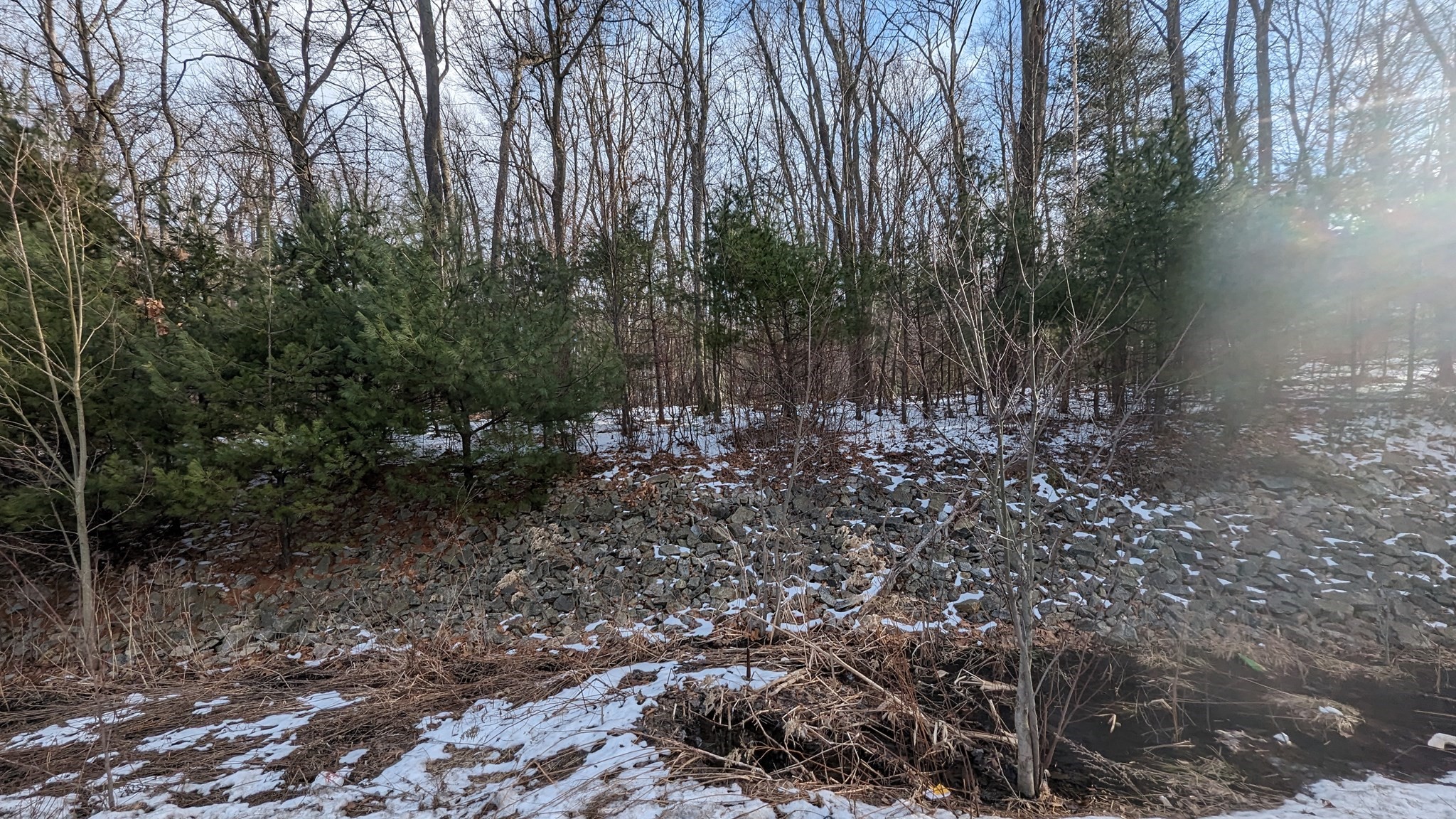 Lot0 Worcester Road Charlton, MA 01507 - Photo 4 of 5 Gallery Image 4