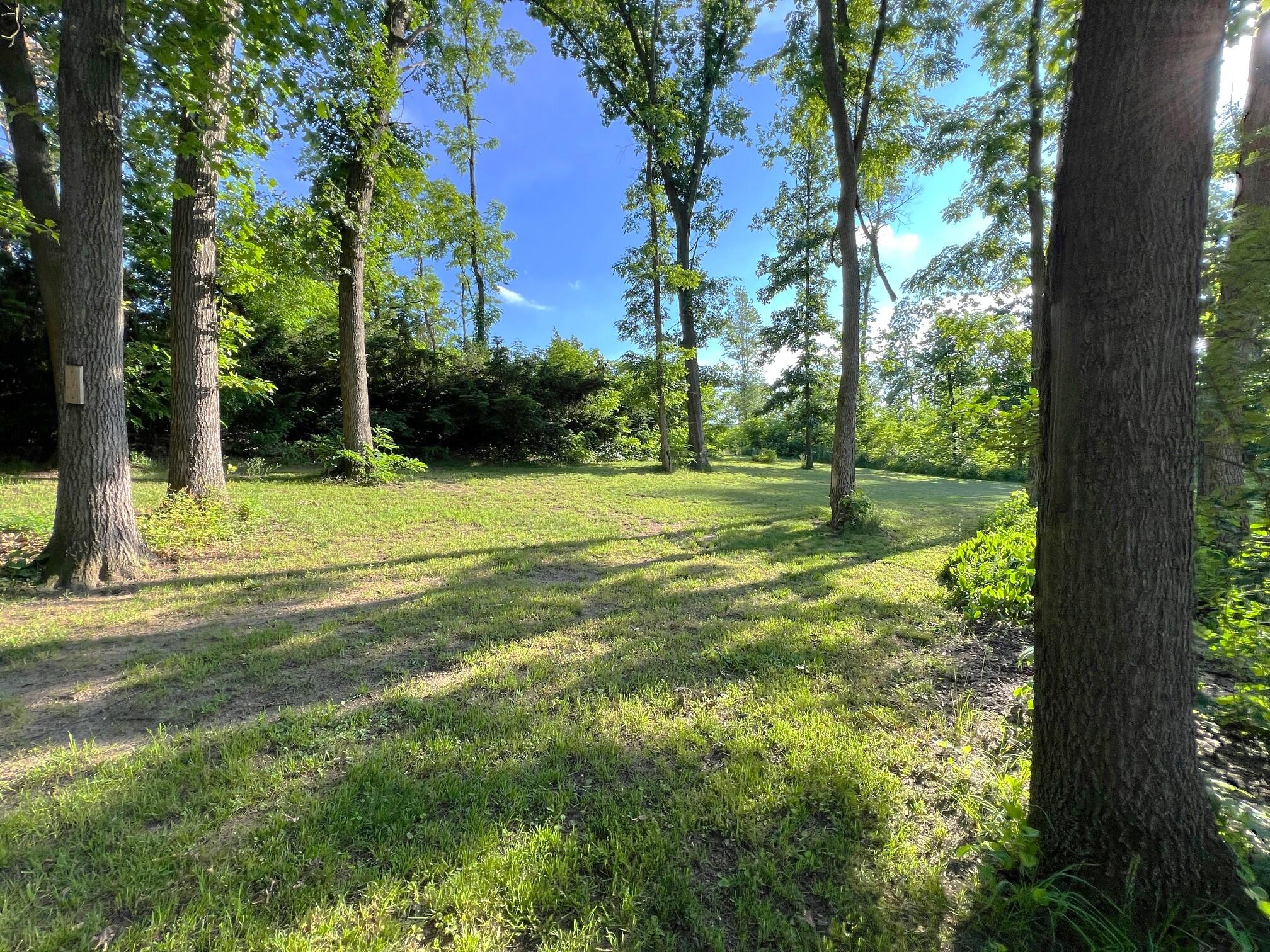 26079 Wyndham Road Sturgis, MI 49091 - Photo 39 of 46 Yard