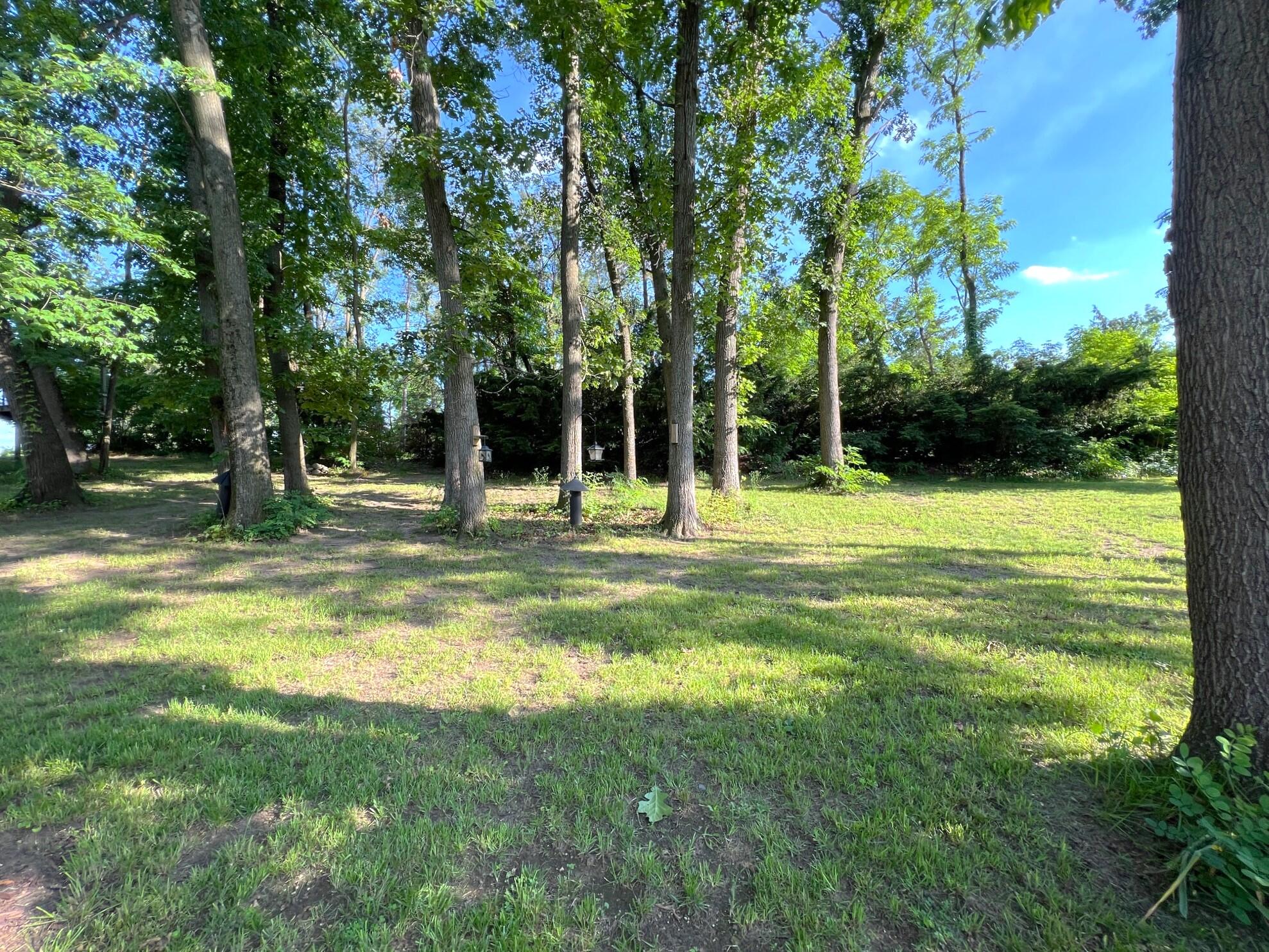 26079 Wyndham Road Sturgis, MI 49091 - Photo 43 of 46 Yard
