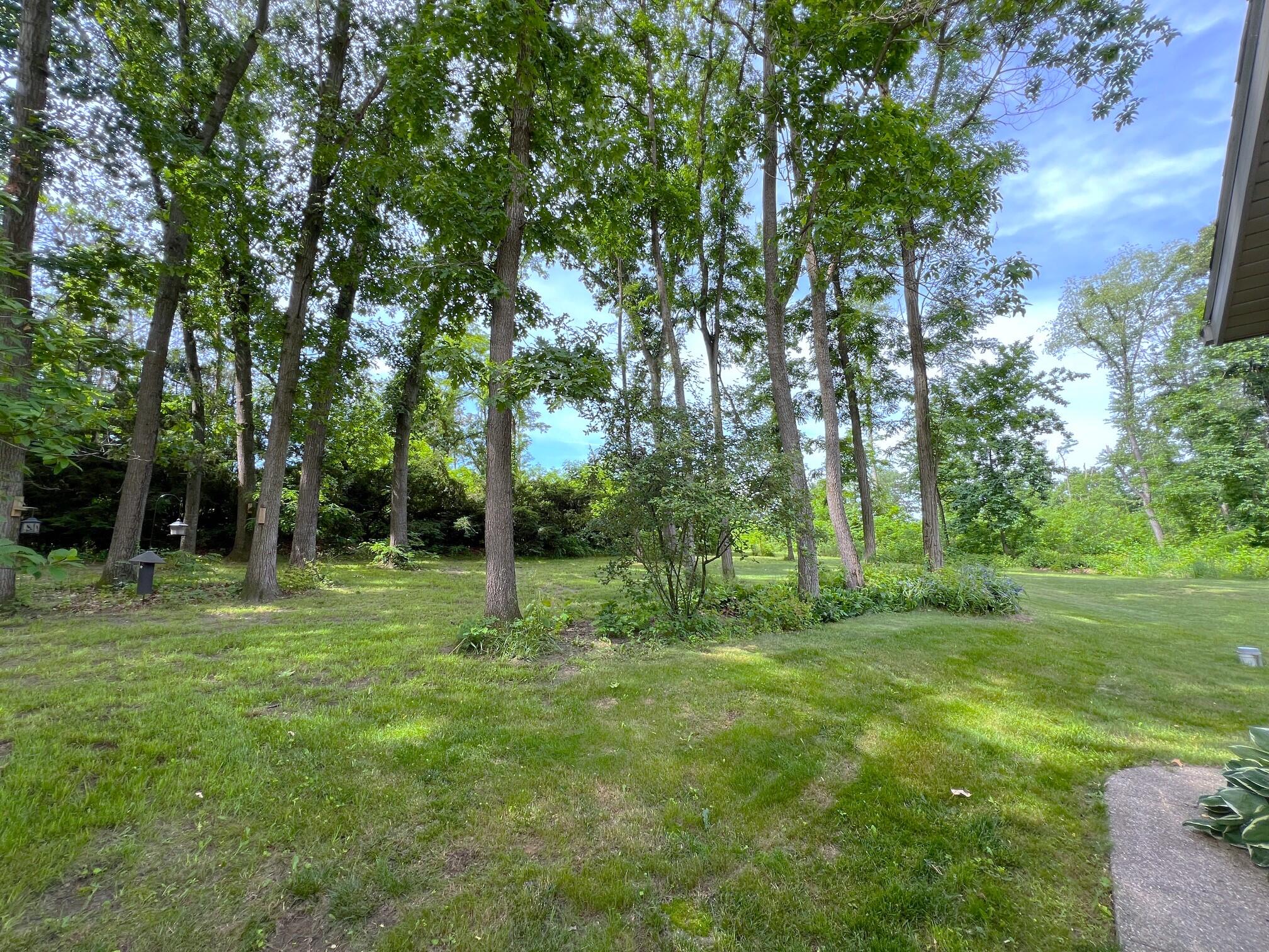26079 Wyndham Road Sturgis, MI 49091 - Photo 46 of 46 Yard