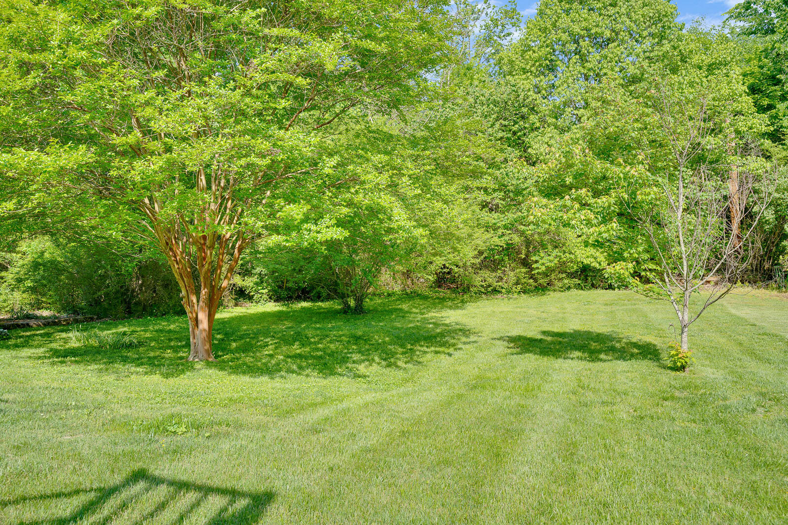 4513 Spring Lake Road Chattanooga, TN 37415 - Photo 29 of 29 4513 Spring Lake Dr - MLS Photos-19