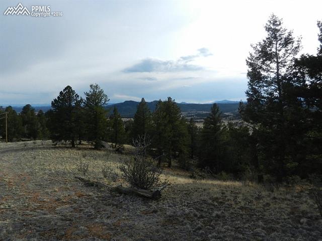 918 Old Ranch Road Florissant, CO 80816 - Photo 5 of 13 Gallery Image 5