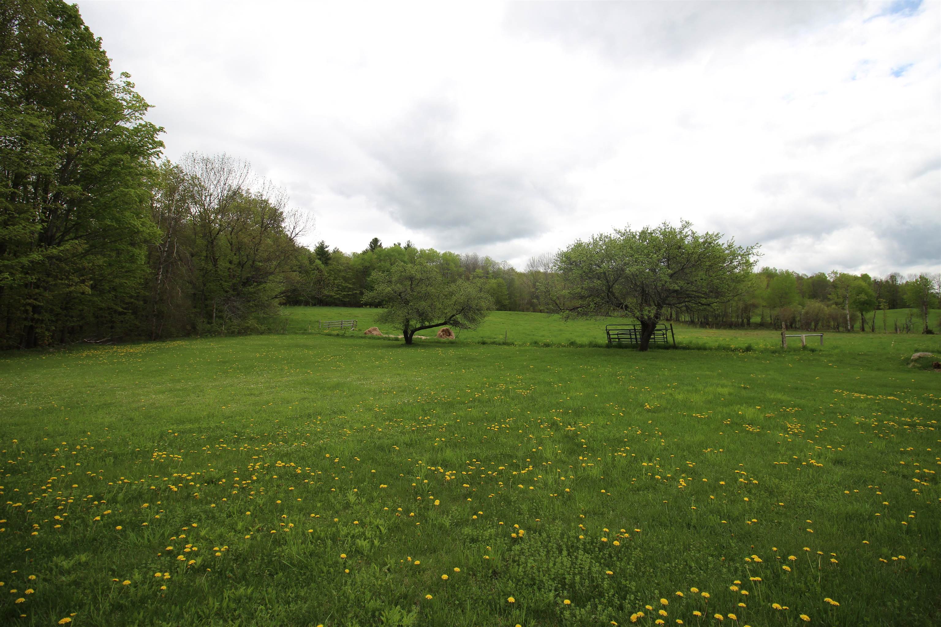 3091 Baptist Street Williamstown, VT 05679 - Photo 18 of 41