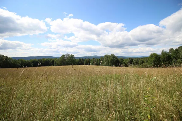 $549,000 | 3091 Baptist Street, Williamstown, VT 05679