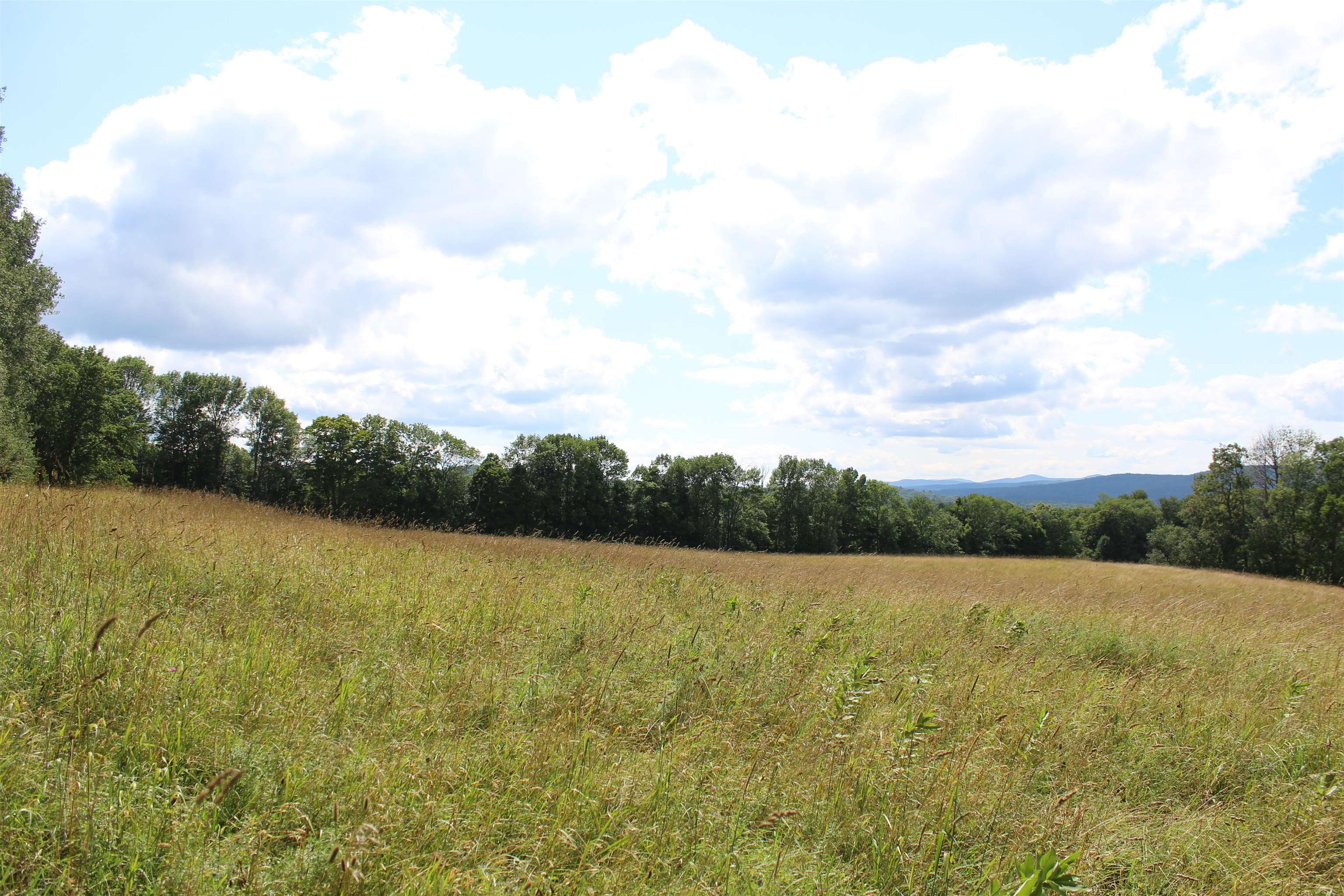 3091 Baptist Street Williamstown, VT 05679 - Photo 30 of 41