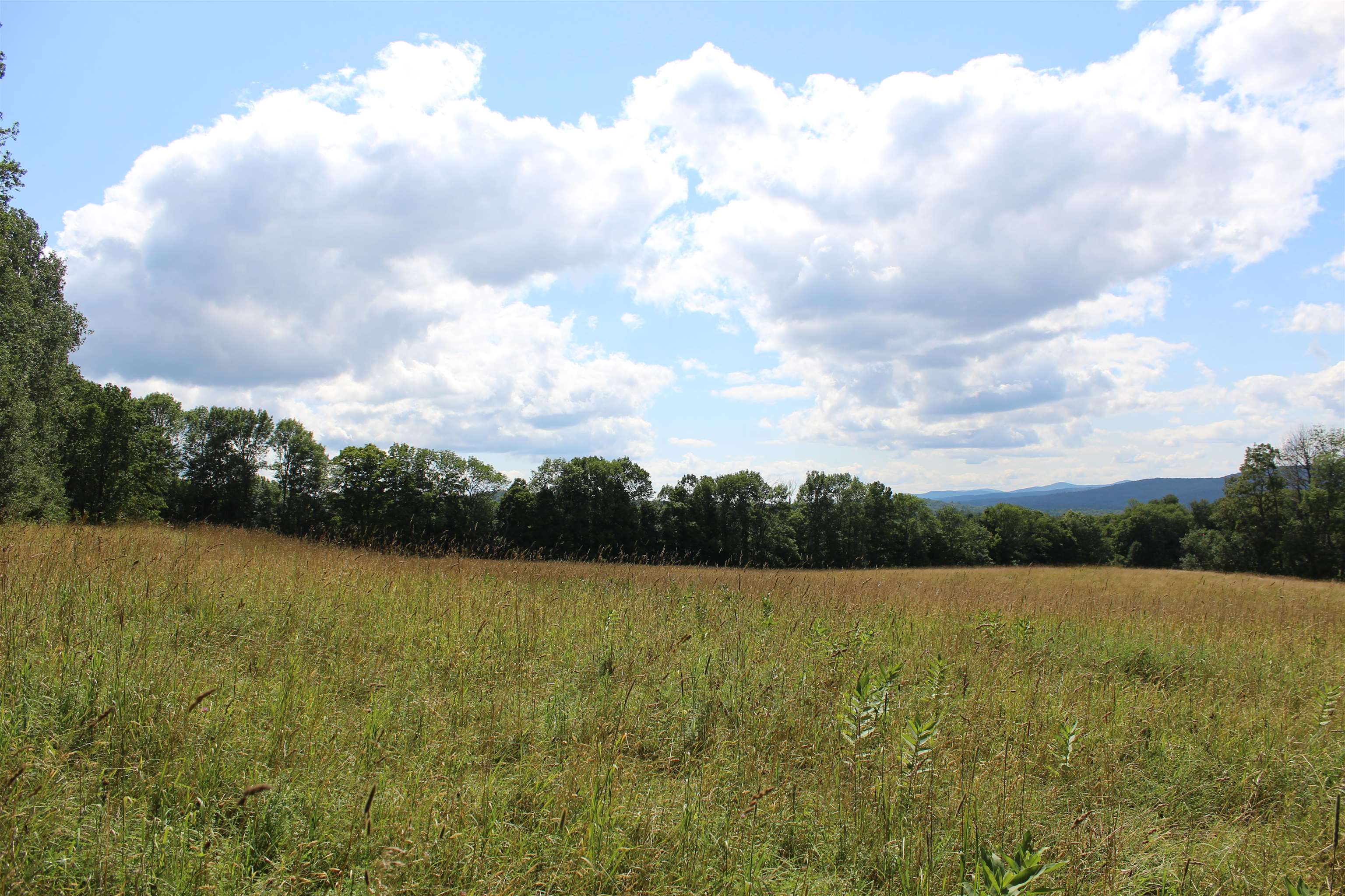 3091 Baptist Street Williamstown, VT 05679 - Photo 31 of 41