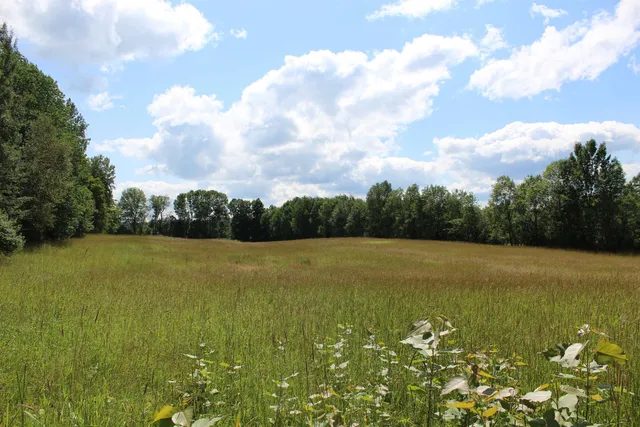 $549,000 | 3091 Baptist Street, Williamstown, VT 05679